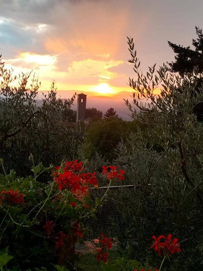 Ganze Wohnung, La casetta di campagna Alloggio nel Chianti in Rufina, Florenz Provinz