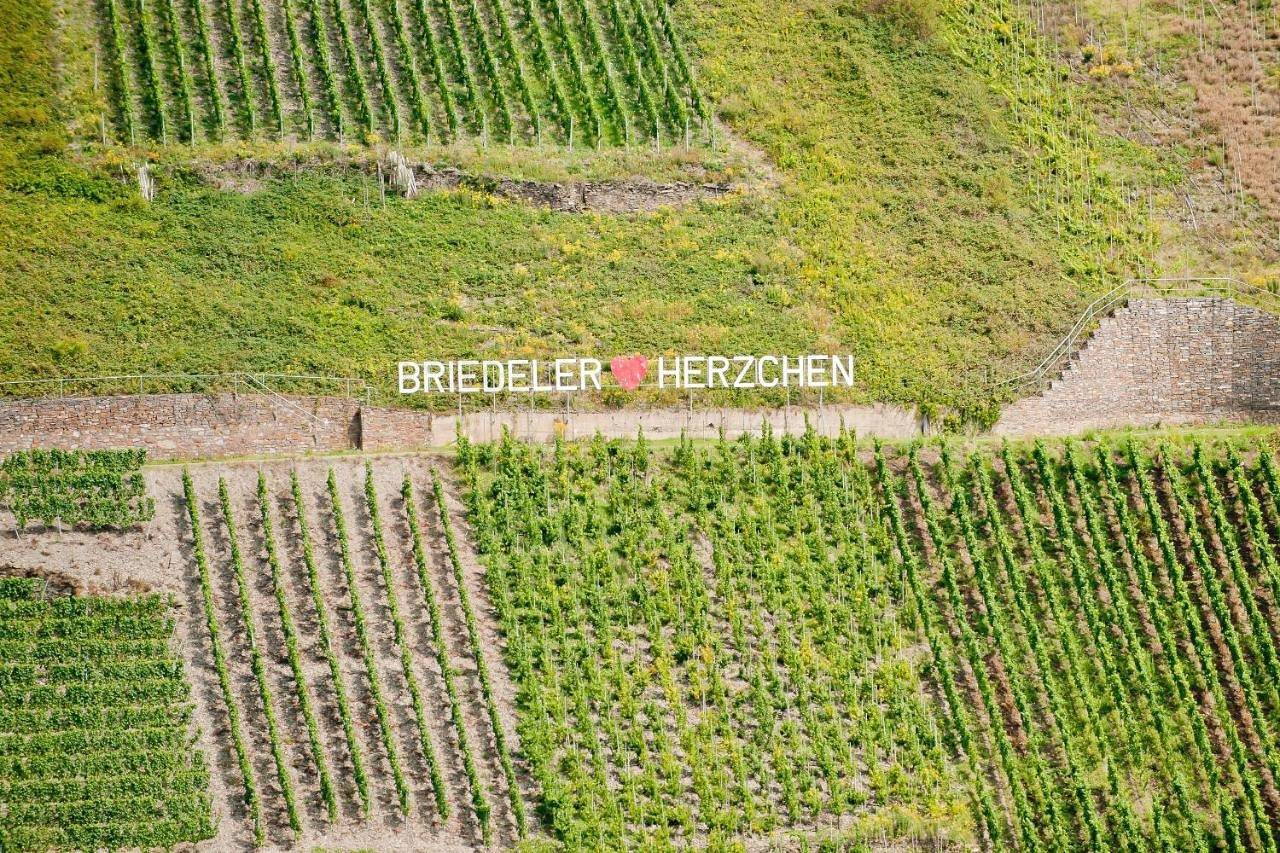Wein- und Sektgut Markus Hensler in Briedel, Traben-Trarbach et ses environs