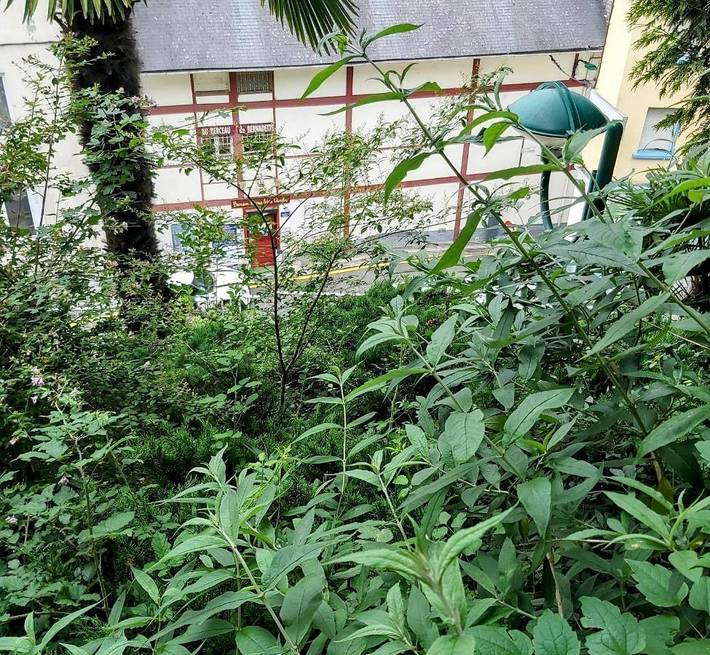 Chambre d’hôte pour 2 personnes, avec vue et balcon à Lourdes - 4