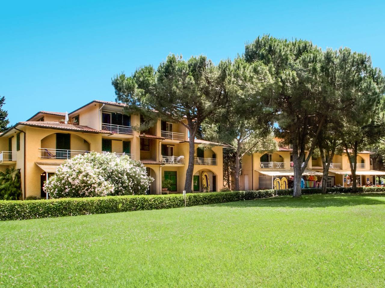 Ganze Wohnung, Golfo della Lacona in Lacona, Elba