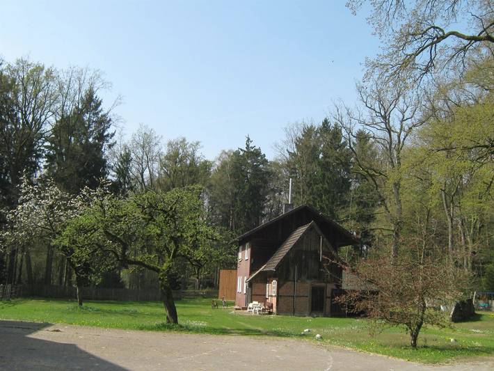 Ferienwohnung für 5 Personen, mit Terrasse und Garten in Naturpark Südheide - 2