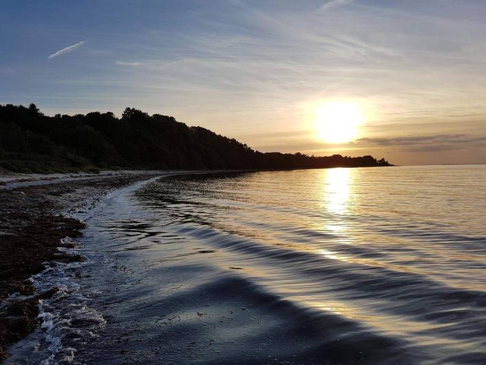 Ferienhaus für 24 Personen, mit Pool und Sauna sowie Terrasse, mit Haustier in Råbylille Strand - 4