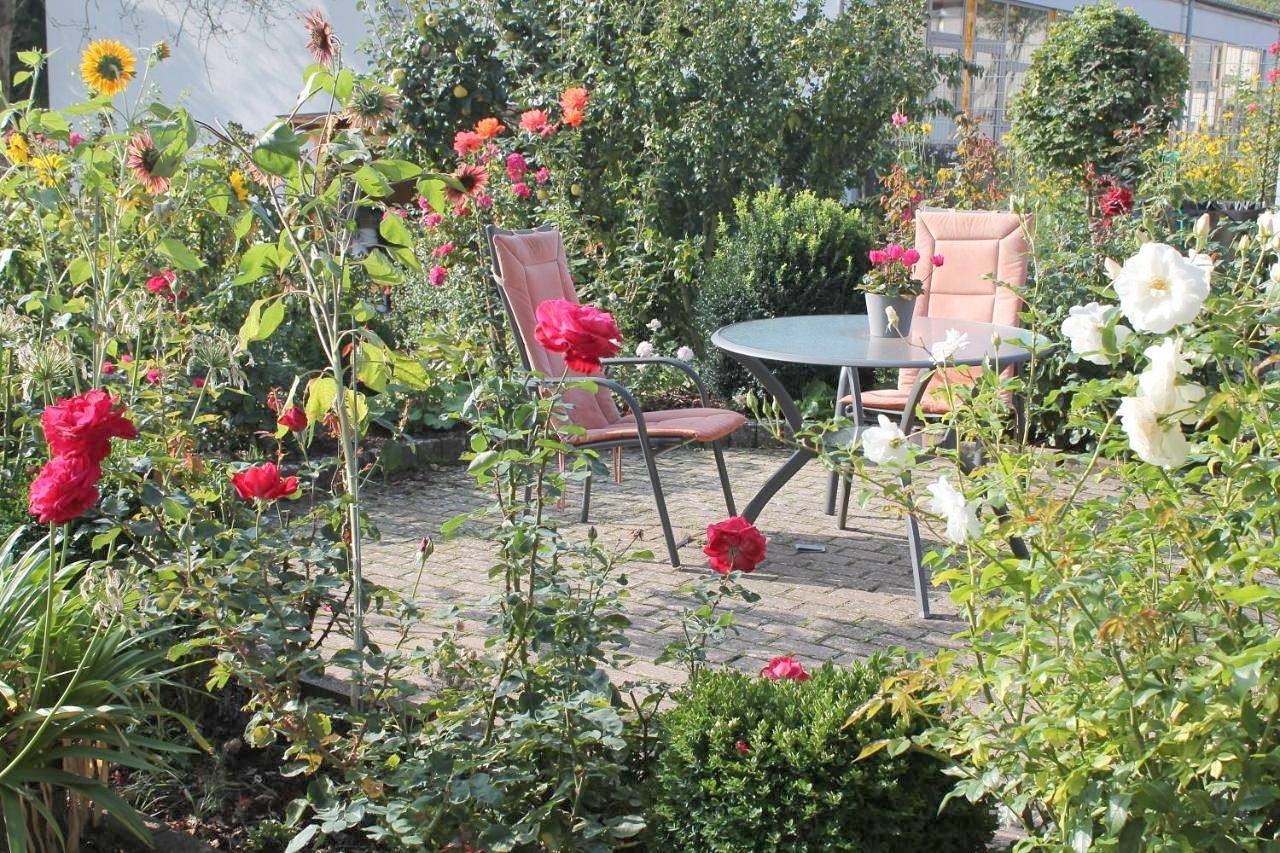 Ganze Wohnung, No. 73 - Idylle im Rebenmeer in Pleisweiler-Oberhofen, Südliche Weinstraße