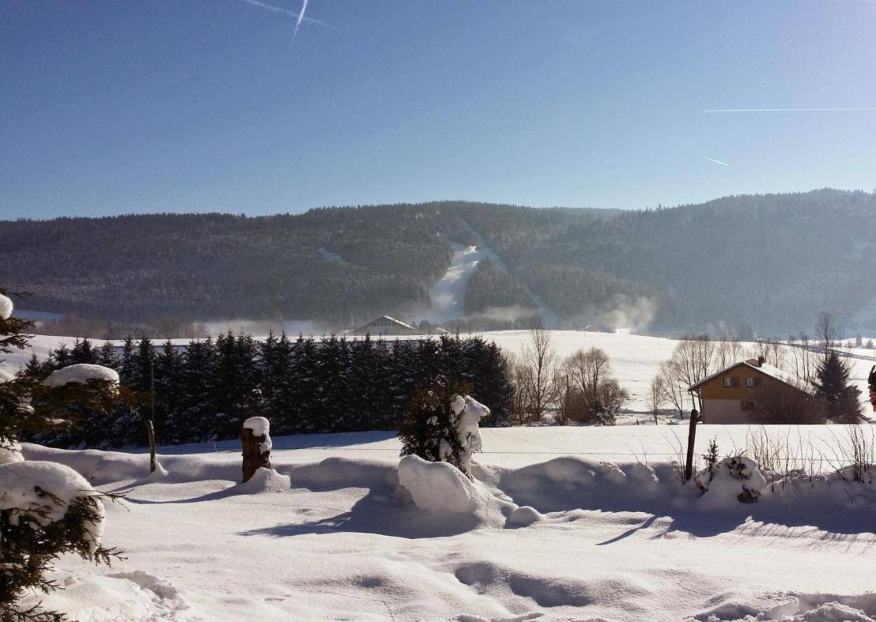Chalet Mouthe 6 personnes in Mouthe-Lac et Mont d’Or, Parc naturel régional du Haut-Jura