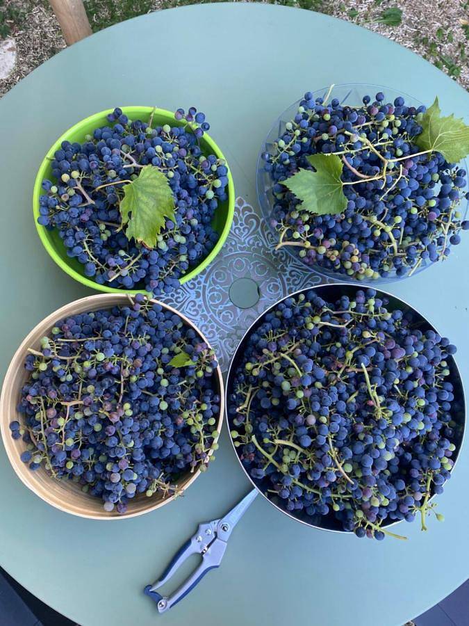 Gîte pour 2 personnes, avec jardin à Soyaux - 2