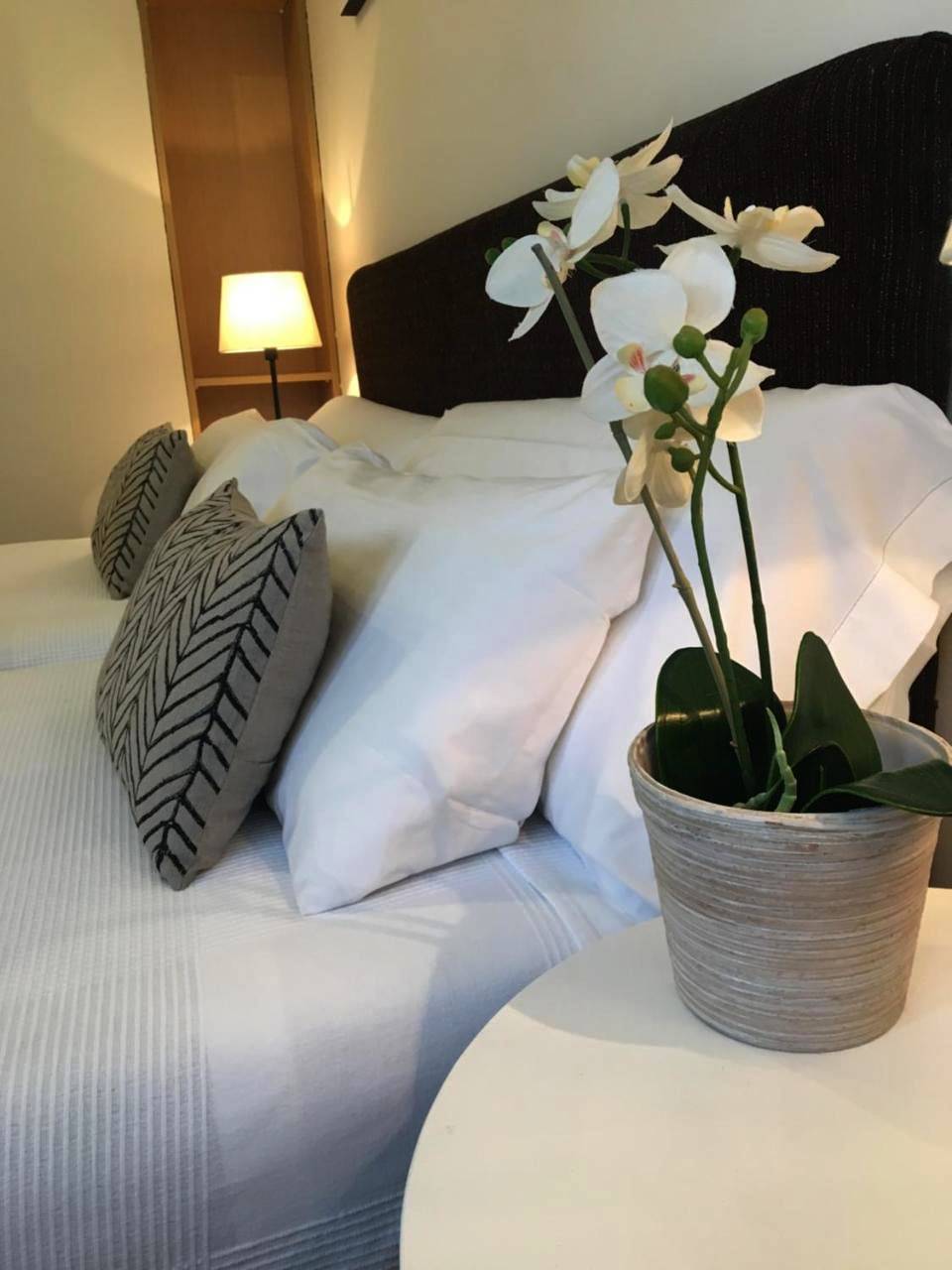 Double or Twin Room in Gaztetape hondartza (Getaria), Getaria