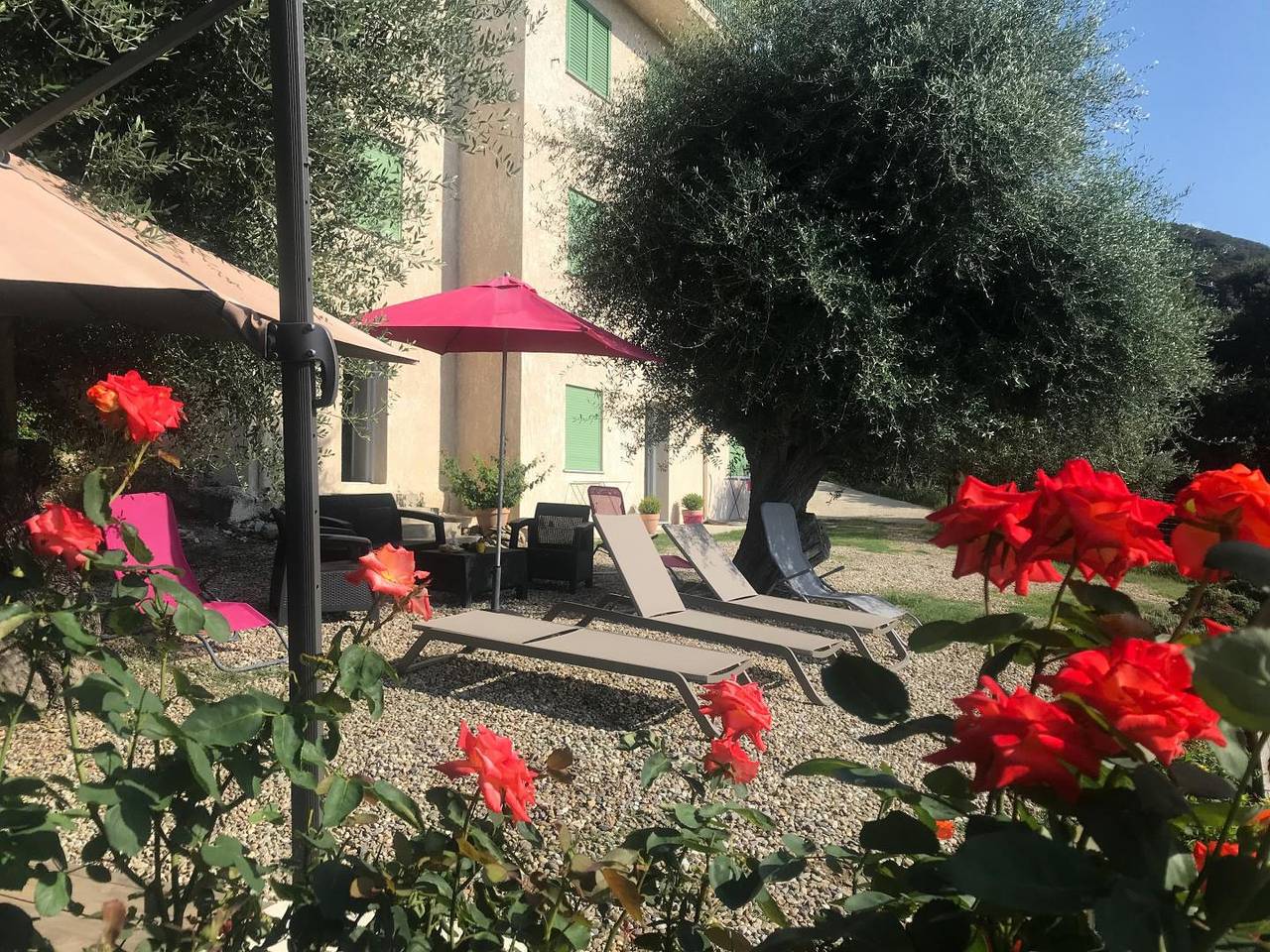 L'Alivetu in Farinole, Région de Calvi