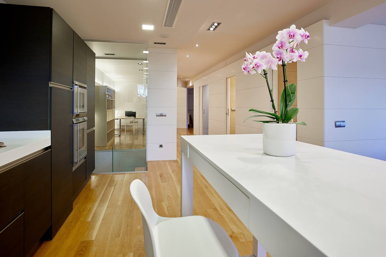 Ganze Wohnung, Geräumiger und einzigartiger Ondarreta-Strand in San Sebastian, Baskische Küste (Spanien)