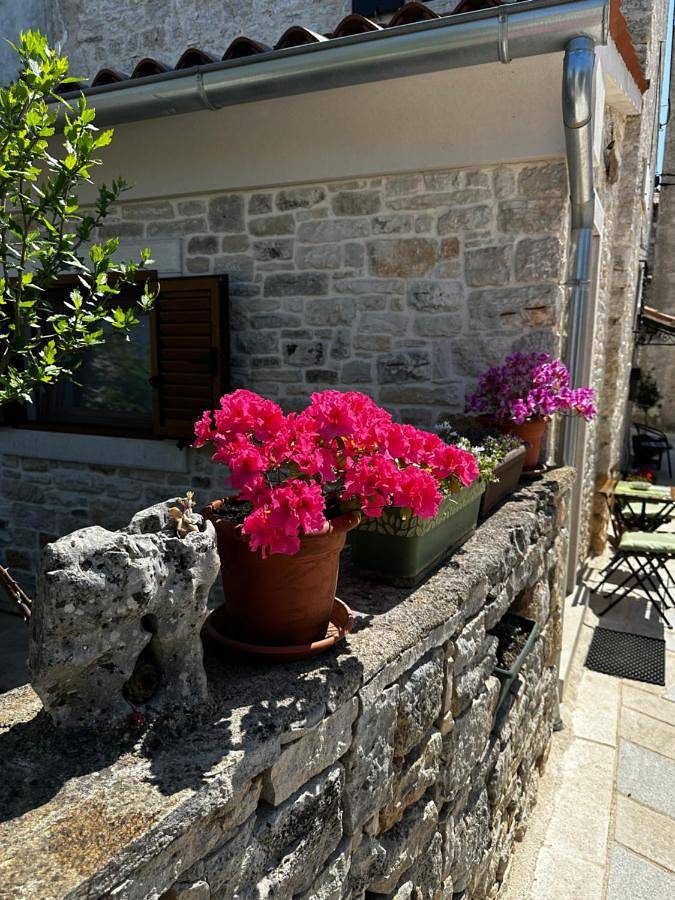 Maison d’hôte pour 3 personnes, avec Jardin à Bale (Croatie) - 2