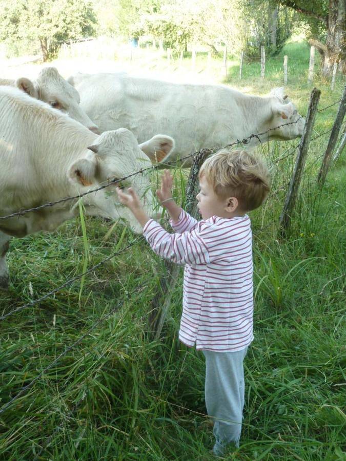 Chambre d’hôte pour 4 personnes, avec jardin et vue dans Les Mille étangs - 3