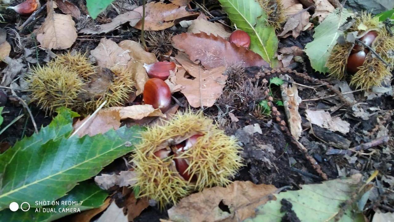 Casa las Niñas in Merindad de Montija, Cordillera Cantábrica