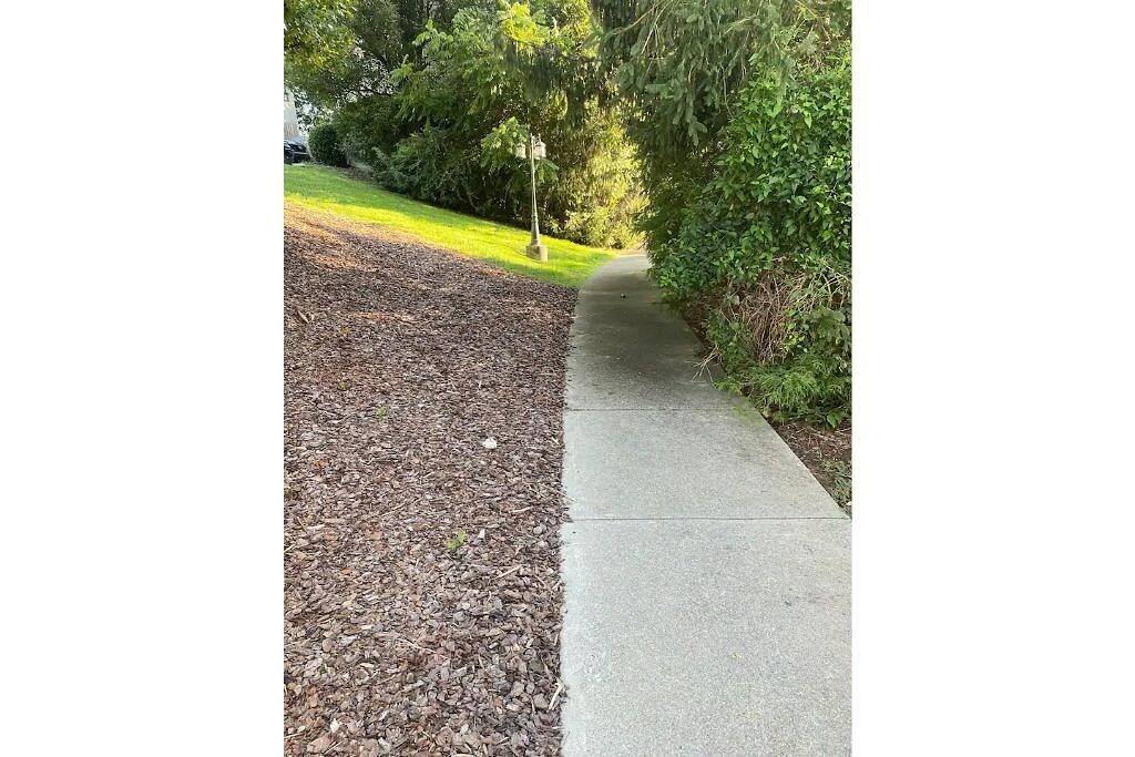 Ganze Wohnung, Sunrise Deck and Boat Slip. Peace and Fun! in Johnson City, Blue Ridge Mountains