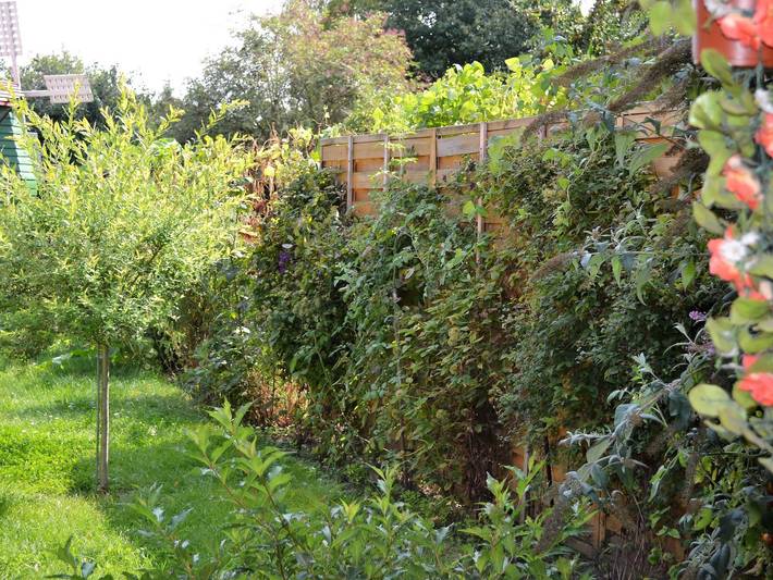 Ferienwohnung für 3 Personen, mit Terrasse in Krakow am See - 2