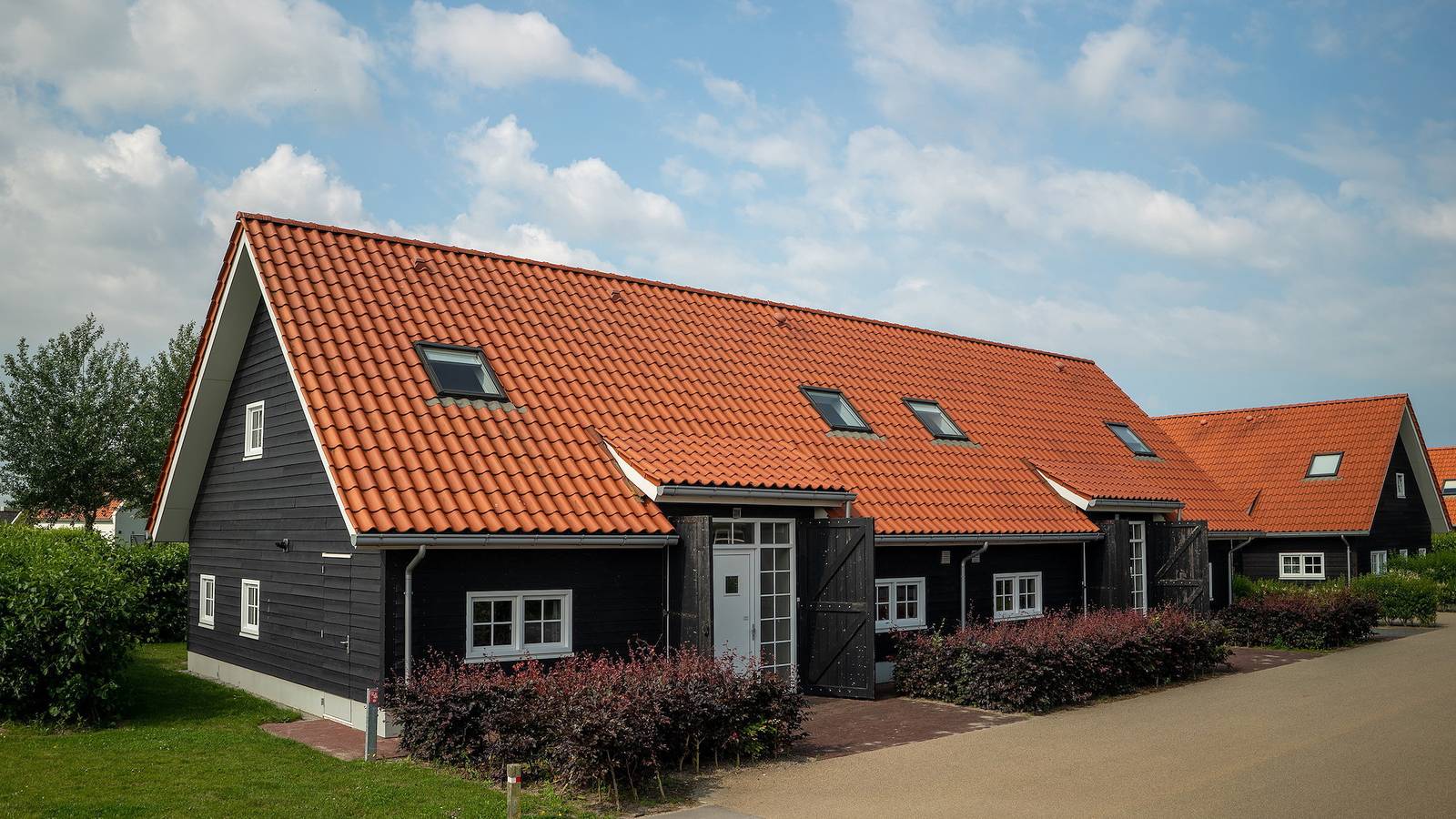 Dormio Strand Resort Nieuwvliet-Bad — Veldzicht in Nieuwvliet, Zeeuwse Kust