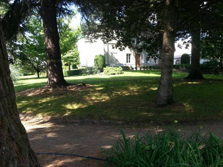 Bateau pour 6 personnes, avec jardin ainsi que vue et terrasse dans les Pays de la Loire - 3