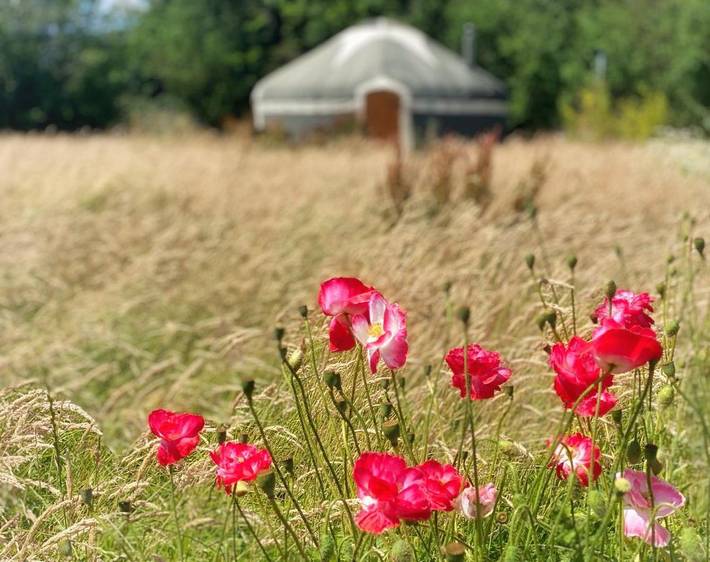 Glamping for 6 people, with Hot tub and Terrace as well as Garden in Staffordshire