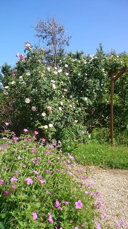 Gîte pour 6 personnes, avec terrasse et jardin dans le Finistère - 3