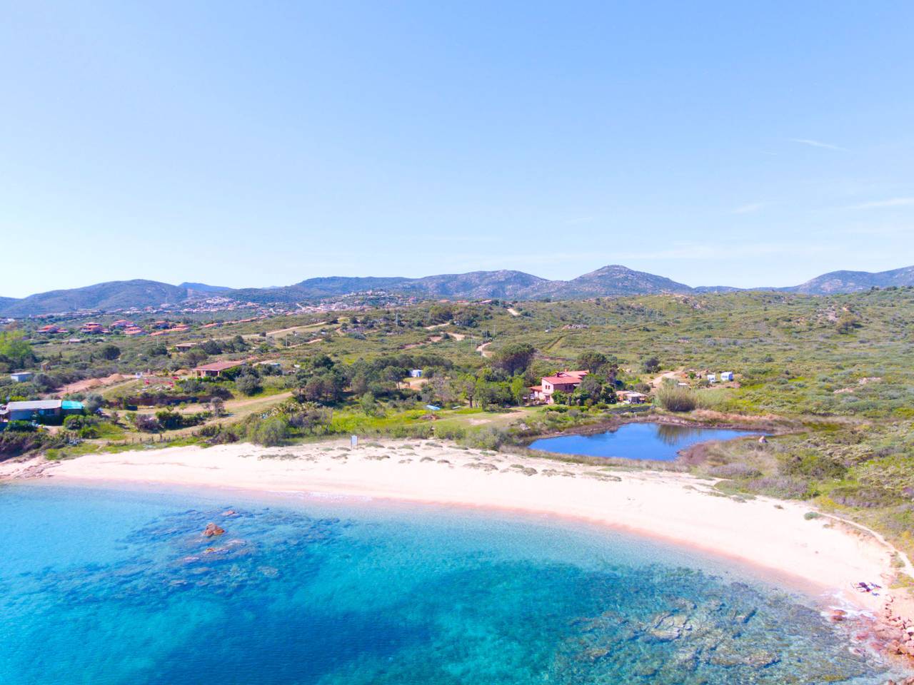 Flamingo in Costa Corallina, Olbia-Tempio