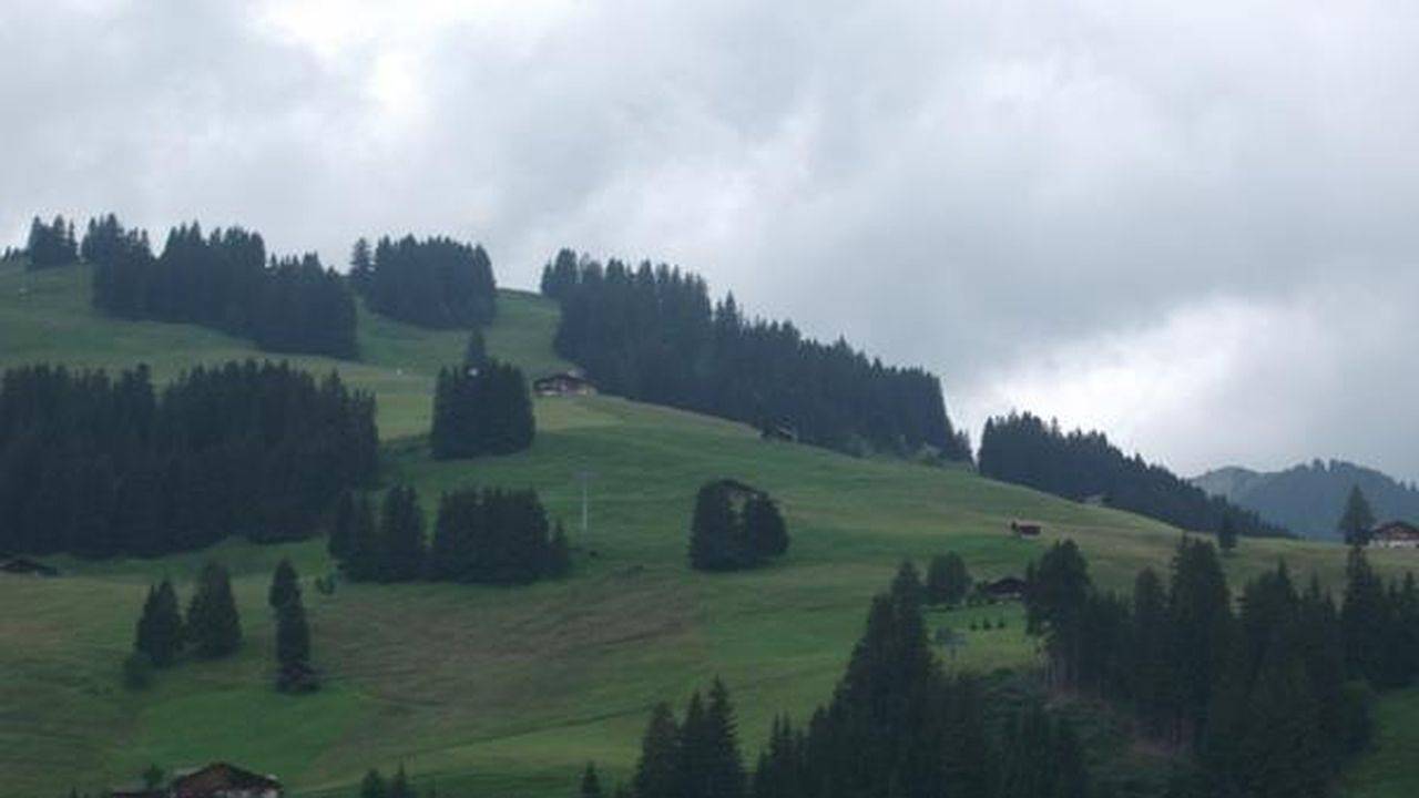 Ganze Ferienwohnung, Ferienwohnung für 4 Personen (40 m²) in Adelboden in Adelboden, Frutigen - Lenk - Adelboden