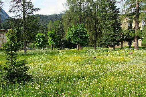 Ganze Ferienwohnung, Ferienwohnung Brentsch Park - Brentsch Park Nr. 57, 50m2 in Scuol, Unterengadin