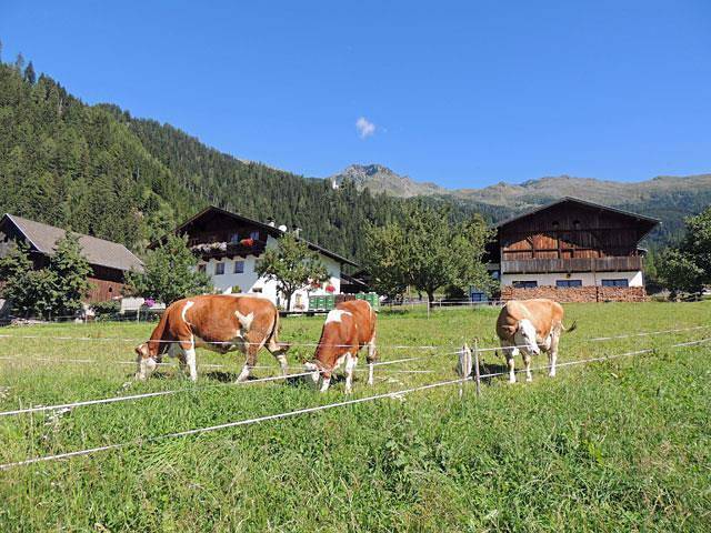 Ganze Ferienwohnung, Apartment/1 Schlafraum/Bad, Wc, 2-3 Pers in Schobergruppe, Thurn