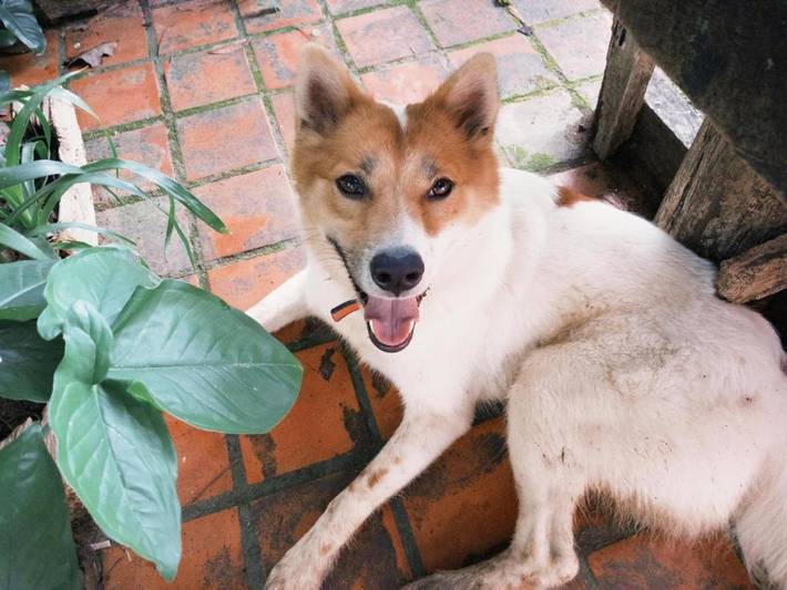 Gîte pour 2 personnes, avec jardin et vue à Pai - 4