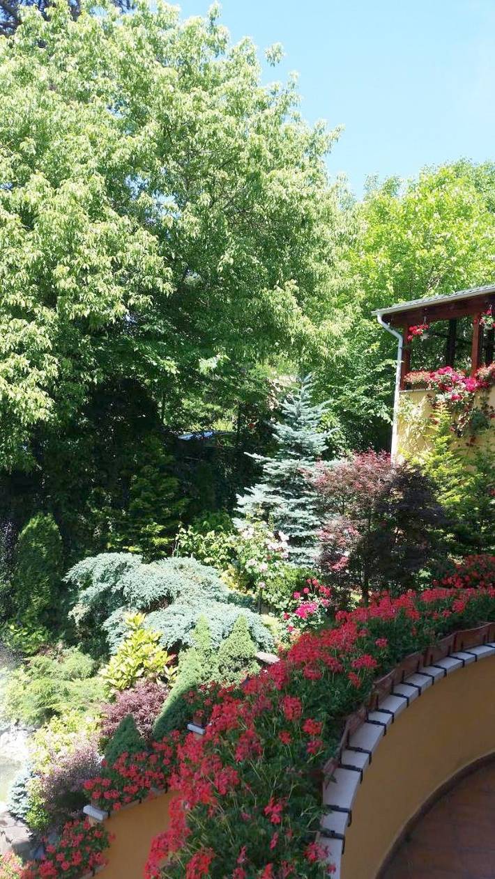 Maison d’hôte pour 5 personnes, avec terrasse ainsi que jacuzzi et jardin dans Mureș - 2