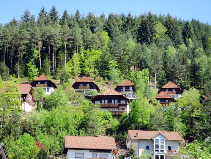 Ferienhaus für 6 Personen, mit Balkon und Garten in Hornberg - 4