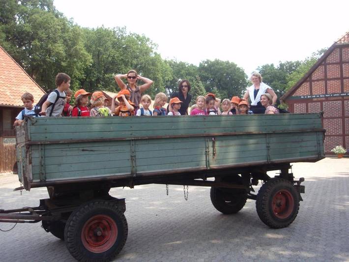 Ferienwohnung für 5 Personen, mit Garten und Ausblick in Wietzendorf - 4