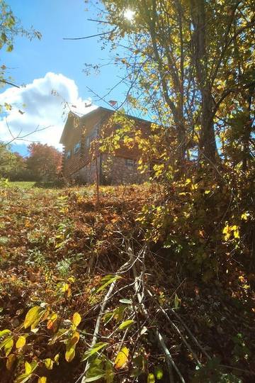 Log Cabin for 6 Guests in Ohio, USA, Picture 1