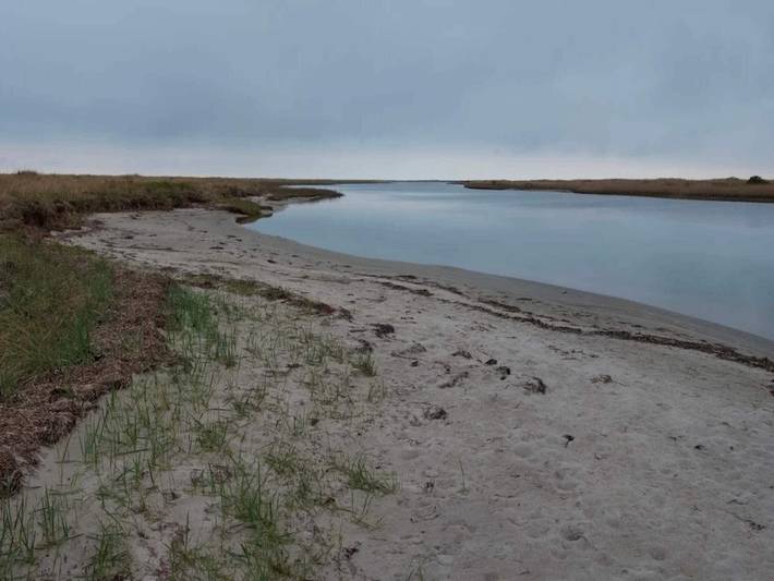 Ferienhaus für 6 Personen, mit Terrasse und Garten auf Læsø - 4