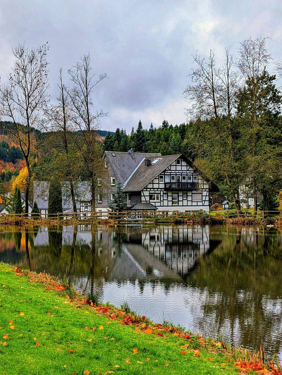 Haus Schmitten - Ferienwohnung "Waldblick" (40m²) mit Küchenzeile in Elkeringhausen, Winterberg