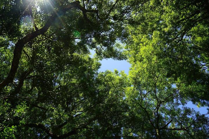 Location de vacances pour 4 personnes, avec jardin et vue dans Moncoutant-sur-Sèvre - 4