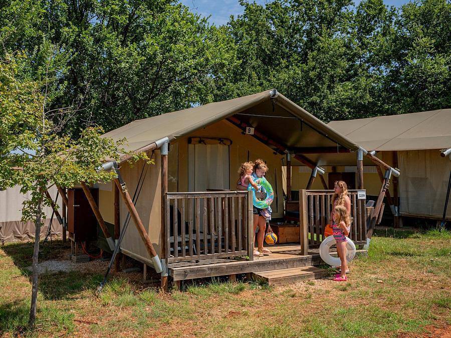 Camping de Schatberg - Safarizelt 5 personen - Eco Lodge Zelt | 2 Schlafz. | 4/5 Pers. | Ohne Bad in Limburg (Niederlande)