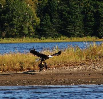 Lodge for 24 Guests in New Brunswick, Picture 1