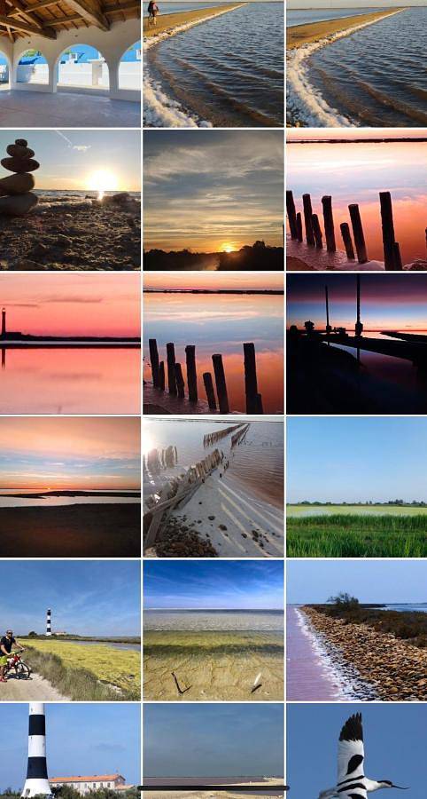 Chambre d’hôte pour 2 personnes, avec piscine ainsi que vue et jardin à Arles - 2