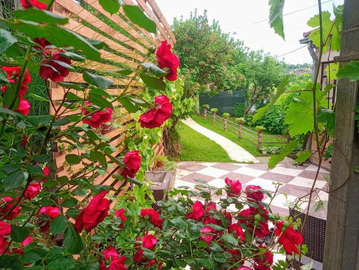 Gîte pour 5 personnes, avec terrasse, animaux acceptés dans Kursumlija - 4