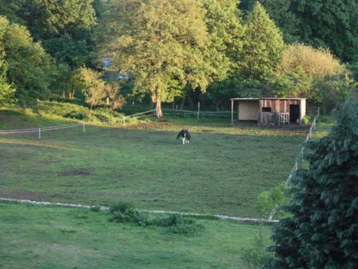 Ferienwohnung für 3 Personen, mit Garten und Balkon, kinderfreundlich in Kargow - 4