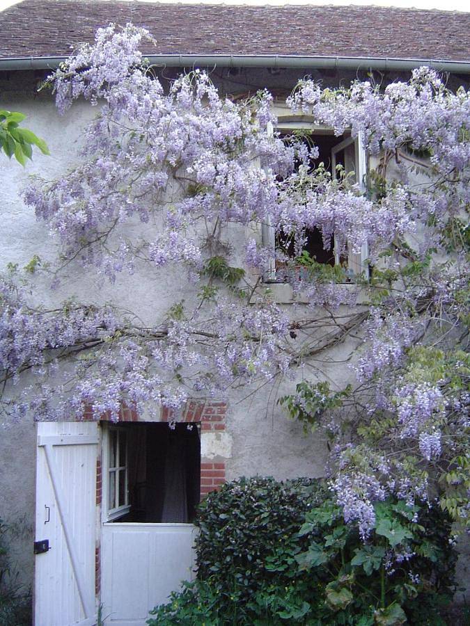 Location de vacances pour 2 personnes, avec jardin et vue dans Valencisse - 4