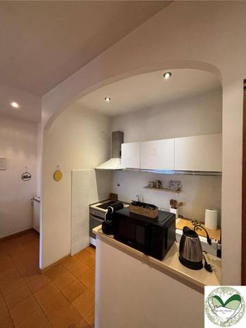Vacation Rental for 4 Guests in Monte Porzio Catone, Parco Regionale dei Castelli Romani, Picture 1