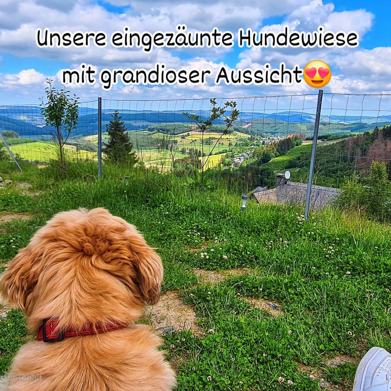 Ganze Wohnung, Ferienwohnung Gartenblick 50qm mit Terrasse, Garten, Kamin und offener Küche mit Theke in Bestwig, Hochsauerlandkreis