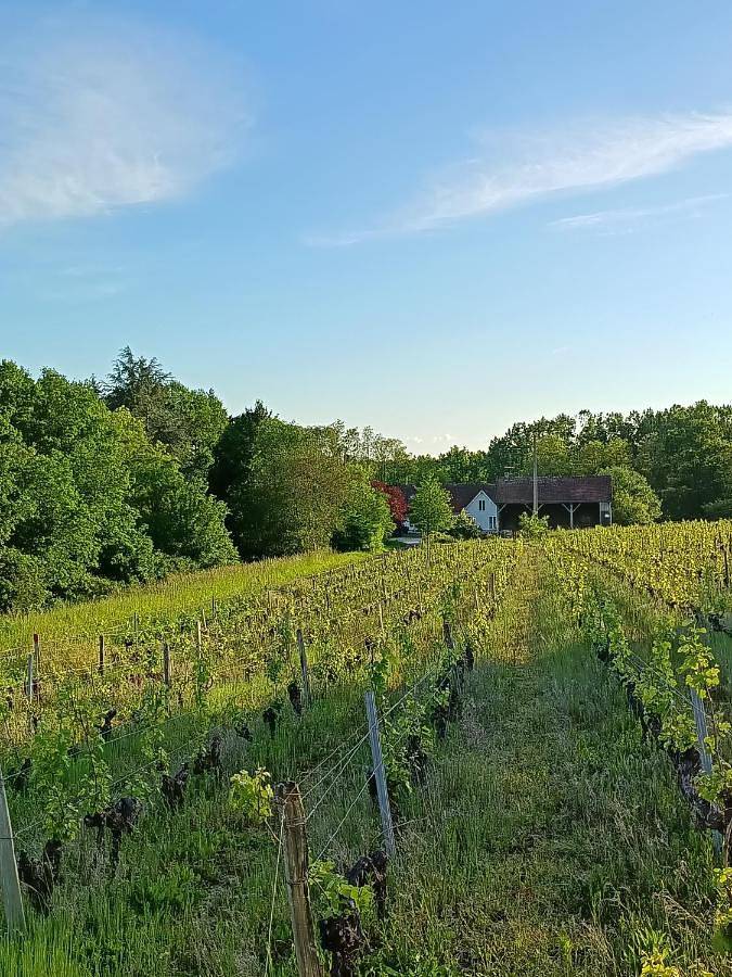 Maison de vacances pour 4 personnes, avec terrasse - 1