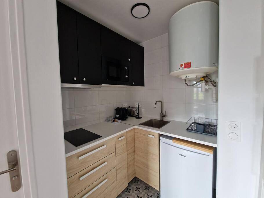 Appartement entier, One-Bedroom Apartment in Villejuif, Val-de-Marne