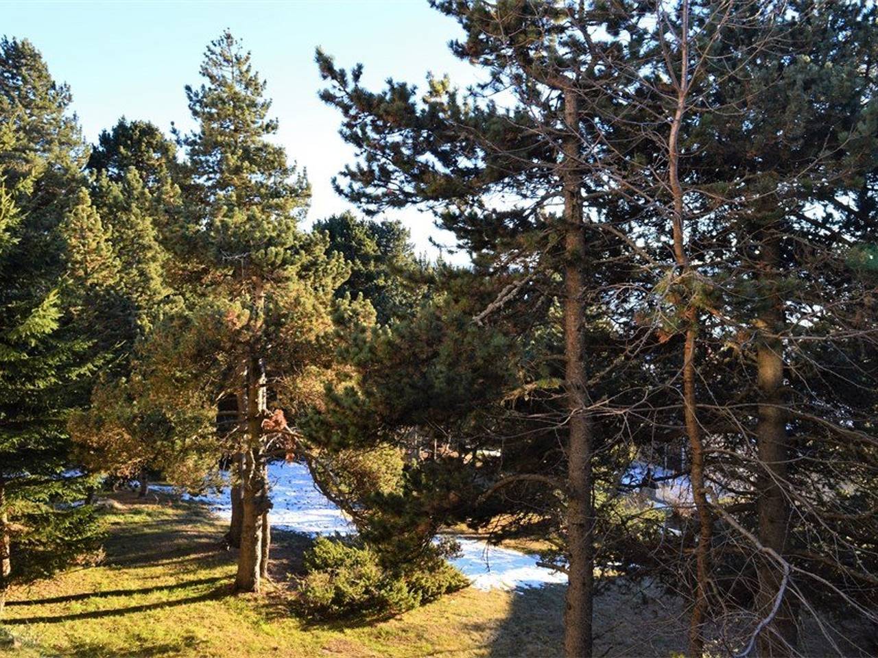 Entire apartment, 3-Room Apartment 6 People Ground Floor South-Facing in Font-Romeu-Odeillo-Via, Prades region