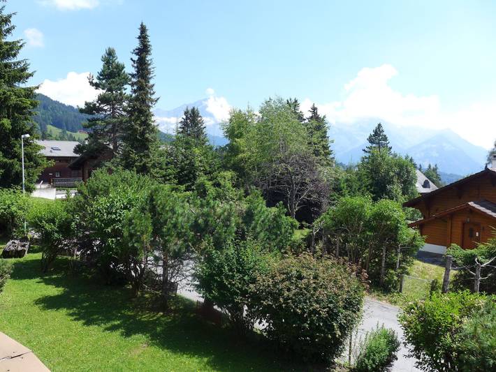 Gîte pour 4 personnes, avec balcon et vue, animaux acceptés dans Canton de Vaud - 4