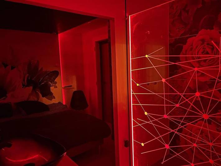 Maison d’hôte pour 2 personnes, avec jardin et jacuzzi à Épinal - 3