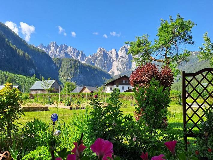 Ferienwohnung für 3 Personen, mit Terrasse in Traunviertel - 4
