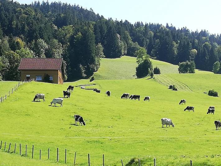 Ferienwohnung für 2 Personen in Alberschwende - 4