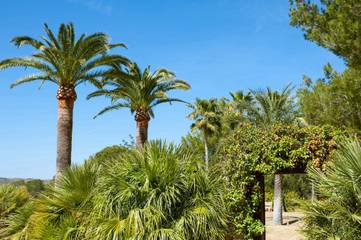 Villa in Sant Joan de Labritja, Ibiza Norden für 12 
