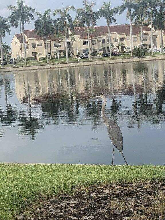 Vacation rental for 6 people, with balcony and hot tub as well as pool in St. Petersburg (FL)